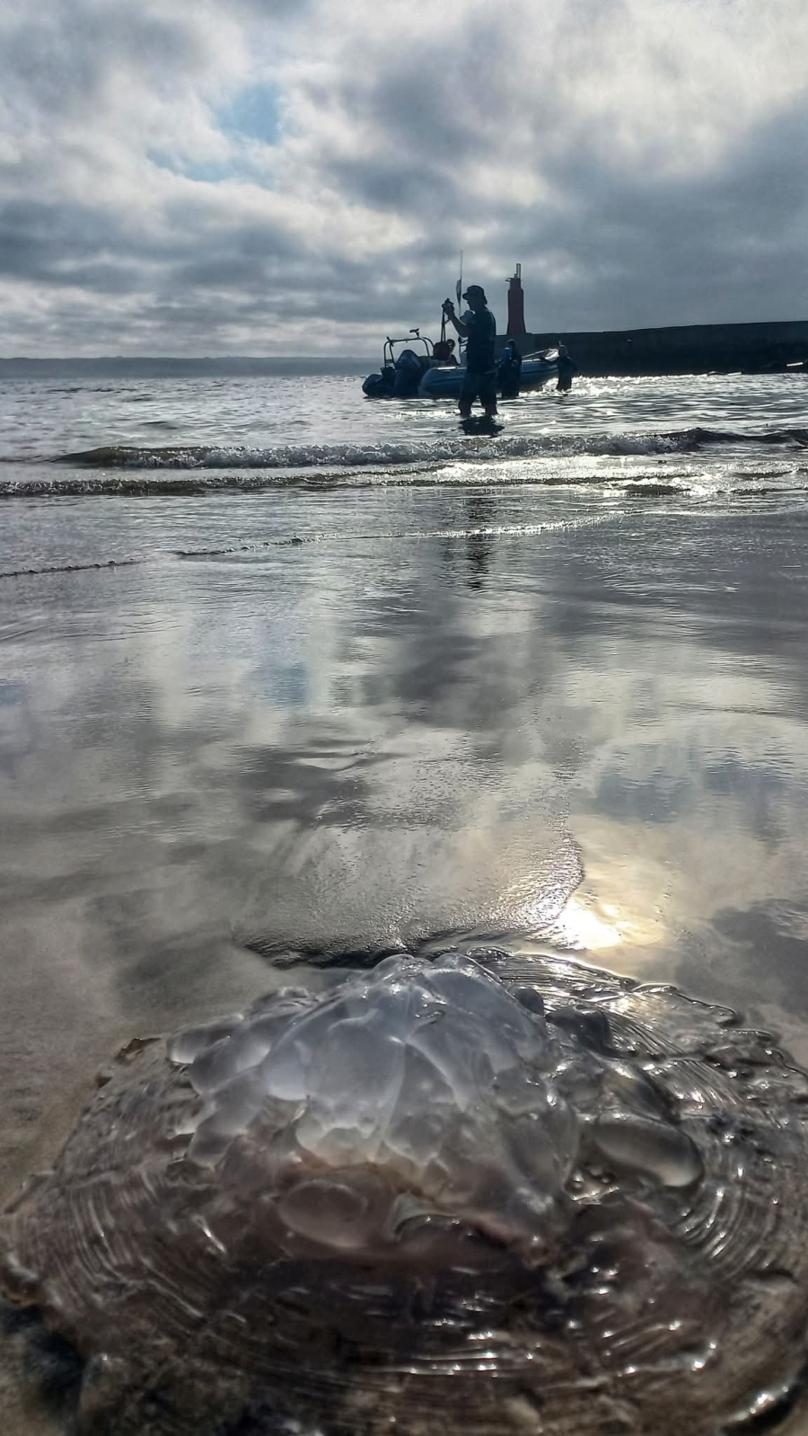 0 Bedroom Property for Sale in Stilbaai Oos Western Cape